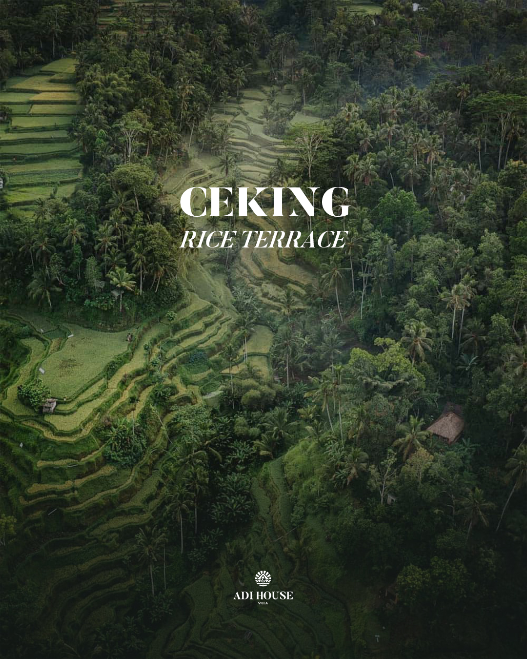 10 advantages of staying in a luxury villa